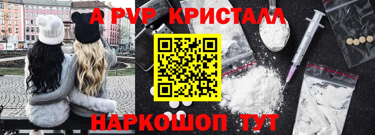 Alfa_PVP СК КРИС Усть-Джегута
