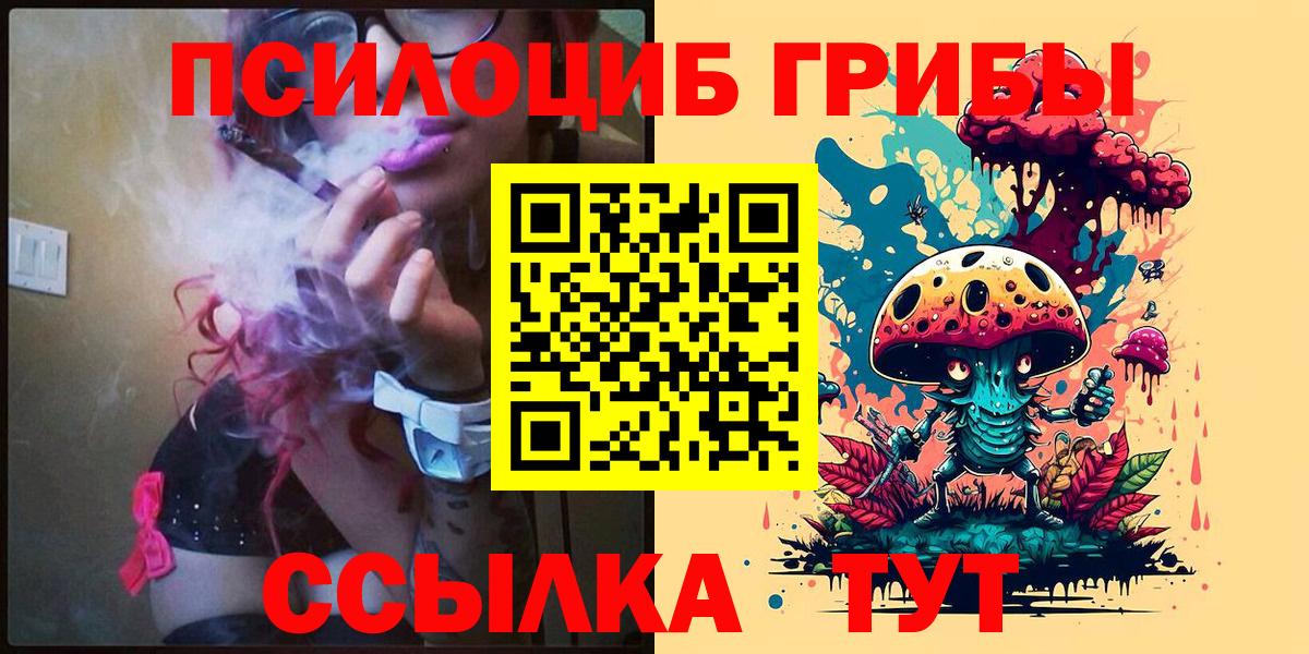 Галлюциногенные грибы Cubensis Усть-Джегута