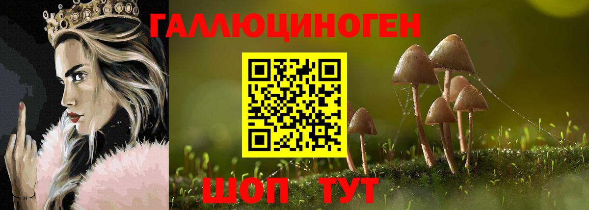 Галлюциногенные грибы GOLDEN TEACHER  Вход с VPN  Усть-Джегута 